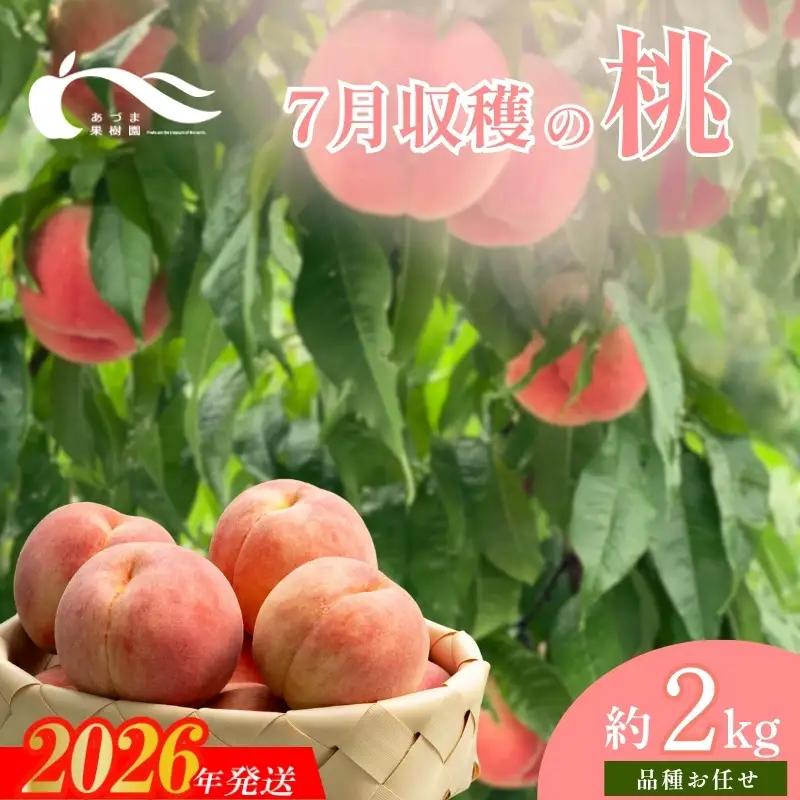 No.1757もも　7月収穫の桃　品種お任せ　約2kg【2026年発送】