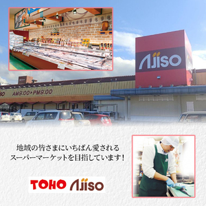 【1切れずつ真空冷凍】 関金サーモン ふり塩切り身 480g（60g×8切れ） マス 鮭 サーモン