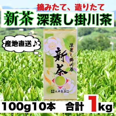 【5月下旬より順次発送】新茶　深蒸し掛川茶　旬の香り・味をお届けします。100g10本　合計1kg【配送不可地域：離島・沖縄県】【1340678】