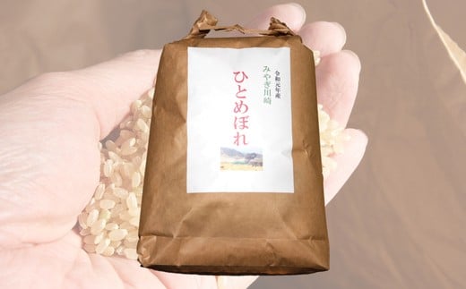 【令和6年産】みやぎ川崎産　ひとめぼれ（玄米）１０kg 　【04324-0098】