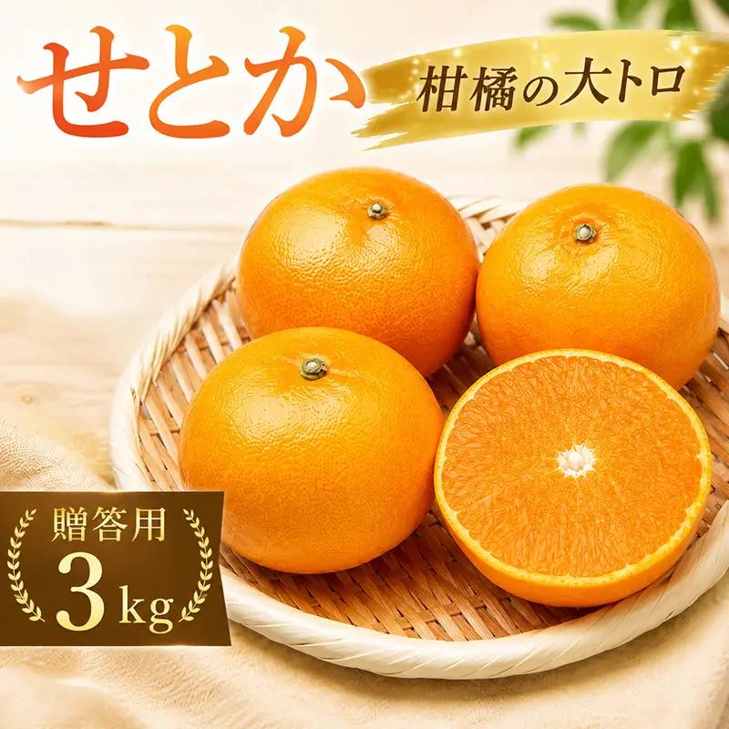 せとか 約3kg 贈答用 秀品 化粧箱 【2027年2月上旬頃から順次発送】 せとか 【DRM016】