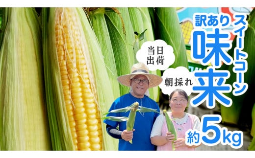 【 朝採れ 当日出荷 】  訳あり スイートコーン 「 味来 」 約5kg 甘い 新鮮 皮付き トウモロコシ とうもろこし コーン 野菜 [DX004ci]