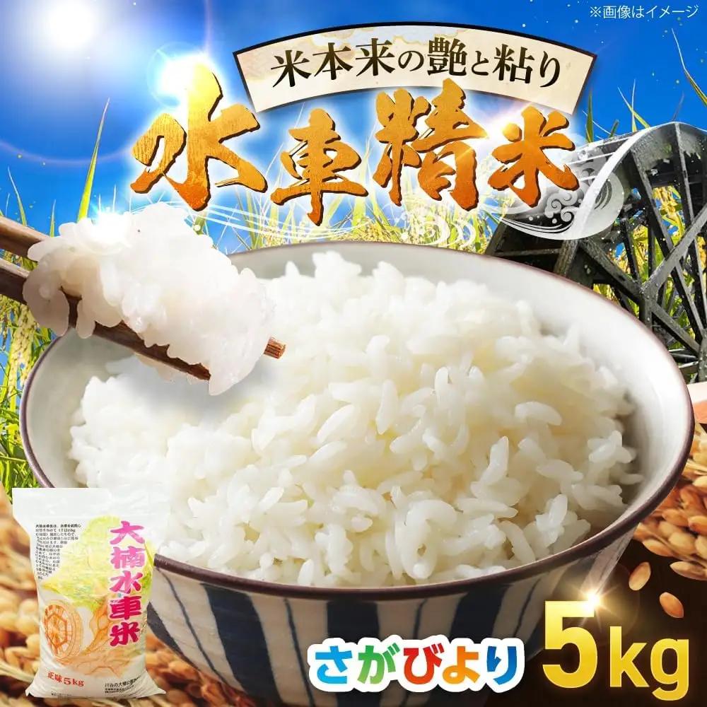 さがびより精米 5kg 精米 [UBY002]