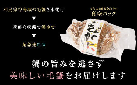 【2025年12月24日～12月30日発送】  毛ガニ 特大（900g前後） 3尾＜利尻漁業協同組合＞