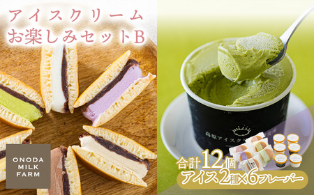 アイスクリームお楽しみBセット カップアイスやアイスサンド2種12個 　TF0725-P00023