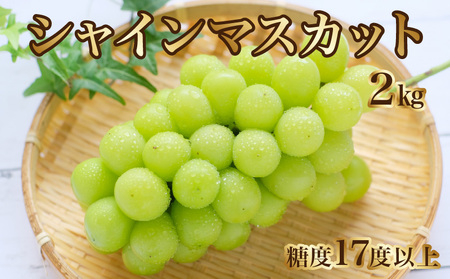 【ふるさと納税】【8月下旬より発送】シャインマスカット2kg(3房)【700g以上】【糖度17度以上】