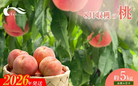 No.1762もも　8月収穫の桃　品種お任せ　約5kg【2026年発送】