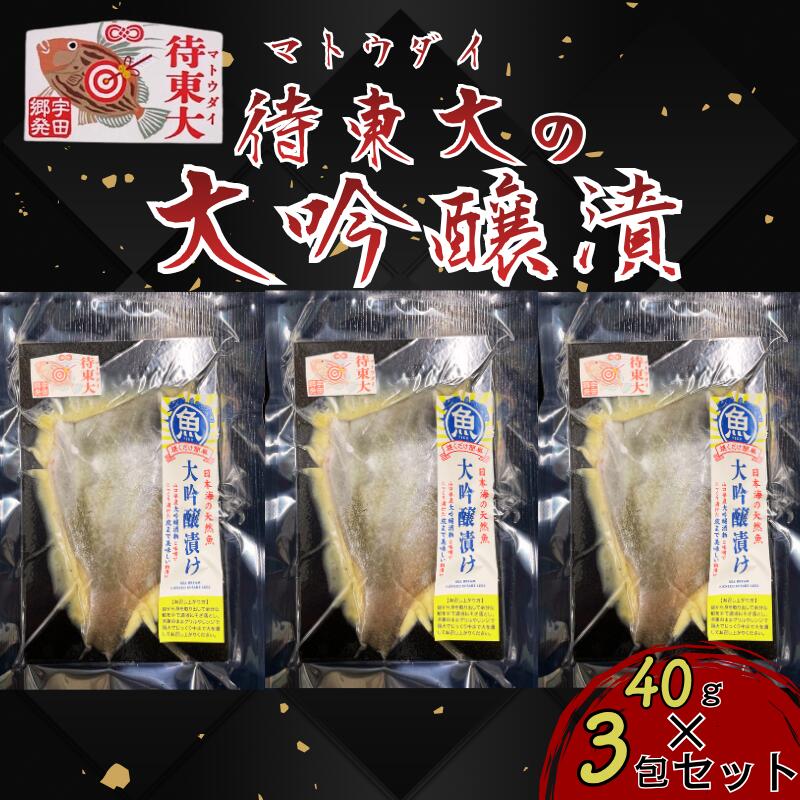 【ふるさと納税】マトウダイの大吟醸漬け40g×3包セット