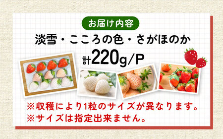 【2026年発送分 先行予約】1パックに3色いちご（こころの色・さがほのか・淡雪）220g×1パック / いちご イチゴ 苺 果物 フルーツ / 佐賀県 / 岸川農園[41ASAG009]