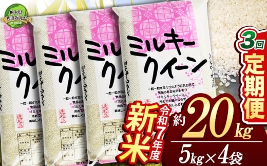 【栃木県共通返礼品】【先行予約】【定期便3回】ミルキークイーン 20kg（5kg×4袋）| 米 こめ コメ kome 白米 精米 お米  みるきーくいーん ﾐﾙｷｰｸｲｰﾝ Milky queen ミルキークイーン もちもち モチモチ ふっくら もち米風 炊き込み 新米 栃木米 令和7年度米 令和7年度 2025年度米 2025年度 ブランド米 栃木県 特産品 送料無料 栃木県 下野市 しもつけ市