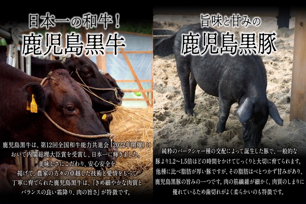 022-46 鹿児島黒牛・黒豚しゃぶしゃぶセット