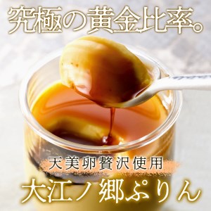 Y202 大江ノ郷セット
