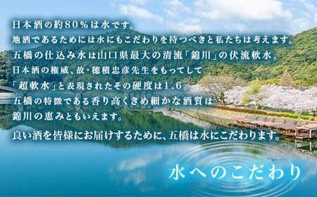 五橋 紙パック 1.8L 1800ml 6本セット【酒井酒造】