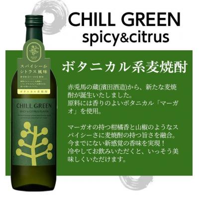 ふるさと納税 いちき串木野市 麦焼酎チルグリーン CHILL GREEN spicy&citrus 25度 720ml×4本セット |  | 01