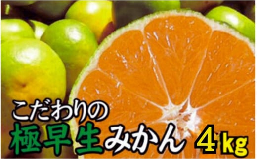 【2025年秋頃発送予約分】【農家直送】こだわりの極早生みかん 約4kg【数量限定】 有機質肥料100% サイズ混合 ※2025年9月下旬より順次発送予定（お届け日指定不可）【nuk171】