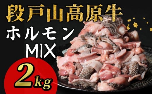 
                  段戸山高原牛 ホルモンMIX 2kg（100g×20パック）小分け 国産牛 もつ鍋 焼肉用 ホルモン ホルモン焼き 焼肉 BBQ キャンプ 肉 鉄板焼き 牛肉 ブランド牛 国産 センマイ モウチョウ 小腸 直腸 ギアラ ハツ 数量限定  -192
                