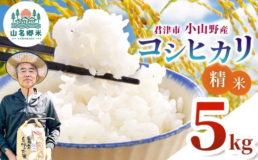 新米 精米 令和8年産 君津市小山野産 コシヒカリ 5kg |  2週間以内に発送 メディアで紹介 ！ あかかげ農園 山名郷米 メディアで紹介 ！ 千葉稲作 こしひかり 千葉県産 米 コメ こめ お米 千葉県 君津市 きみつ