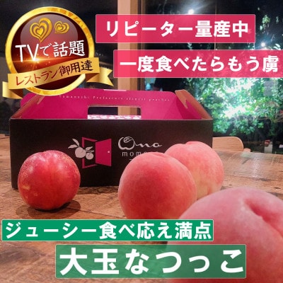 【大玉ジューシーなつっこ】人気品種指定ギフト5連続TV出演話題ブランド【2027年発送先行受付】【配送不可地域：離島・北海道・沖縄県・中国・四国・九州】