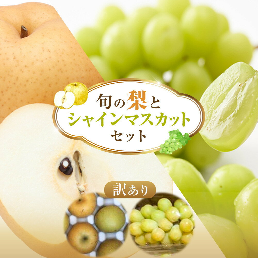 【ふるさと納税】955.【先行予約】【訳あり】シャインマスカット（350g前後）と旬の梨（5玉）セット※8月下旬頃～9月中旬頃に順次発送 | 先行予約 シャインマスカット マスカット 葡萄 ぶどう 梨 なし 果物 フルーツ 鳥取県 北栄町 おすすめ 人気