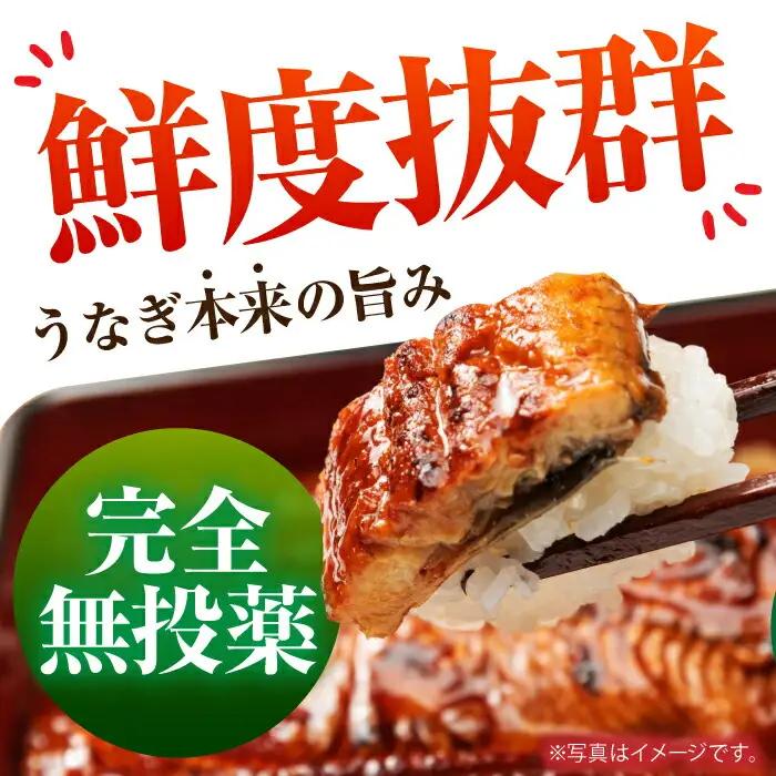 高知県産 うなぎ蒲焼き 約90g×2尾 タレ付き / うなぎ 鰻 ウナギ 国産うなぎ 【株式会社 四国健商】 [ATAF064]