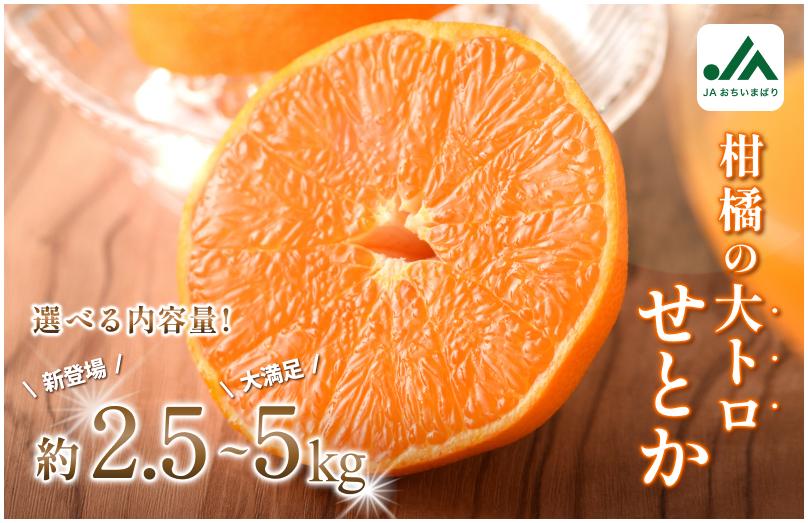 
                  【容量が選べる】【先行予約】＼毎年売切れ！／せとか（家庭用）レギュラー箱 約2.5～5kg【KC00770】2027年2月中旬～3月下旬に順次発送予定 ふるさと納税 愛媛県 今治市 先行予約 今治産 せとか みかん フルーツ 甘い 柑橘 果物 愛媛みかん
                