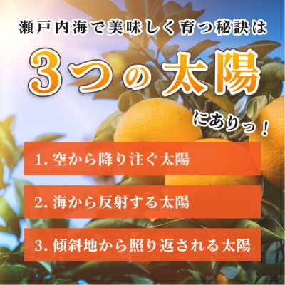 愛媛県今治産柑橘 甘平 レギュラー箱5kg シャキッと食感の大人気果物【C078】【配送不可地域：離島】