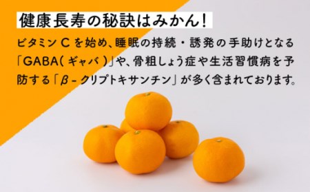 【先行予約】原口早生みかん 約5kg[OCU003]みかん柑橘みかん柑橘みかんみかん