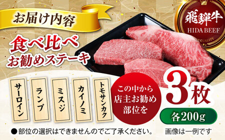 飛騨牛ステーキ600g 飛騨牛 ステーキ[ANBO025]