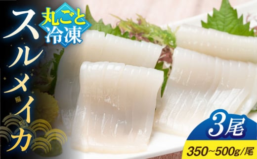 【冷凍】 スルメイカ 3尾（350～500g/尾）《壱岐市》【馬渡水産】 イカ いか 烏賊 スルメイカ するめ 刺身 刺し身 お刺身 海鮮 魚貝 冷凍配送 産地直送 [JAQ004]