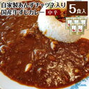 【ふるさと納税】シェフ自慢のあんずチャツネ入り国産牛すじカレー【中辛】5食 230g×5袋 辛みスパイス5袋 自家製カレー スパイス お店の味 冷凍 送料無料 [F4483]