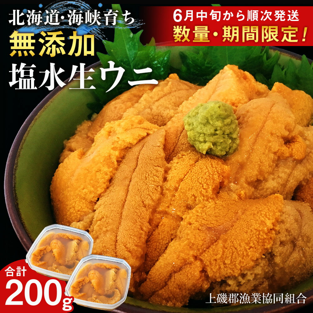 【ふるさと納税】【2025年6月中旬以降発送】 キタムラサキウニ 100g×2パック 上磯郡漁業協同組合むらさきうに 塩水ウニ 塩水パック 無添加 知内町 ふるさと納税 北海道ふるさと納税 ウニ 北海道産ウニ うに 雲丹