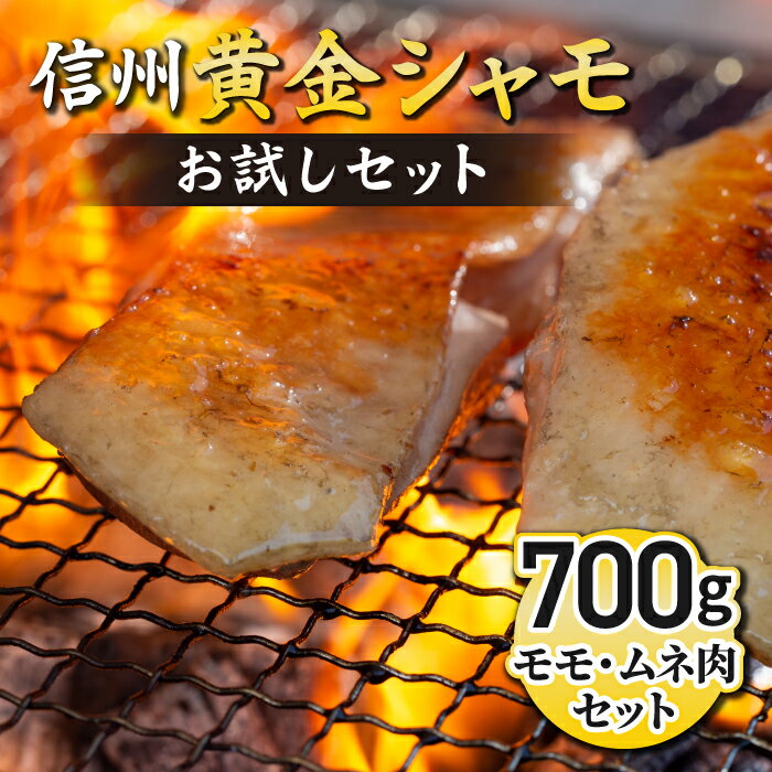 【ふるさと納税】信州黄金シャモお試しセット 鶏肉 地鶏 軍鶏 もも むね シャモ