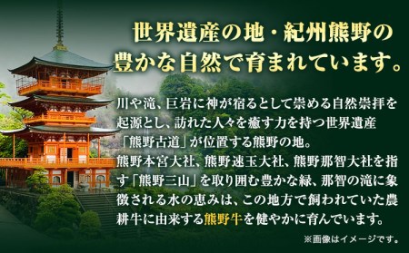 熊野牛 モモしゃぶしゃぶ用 500g 牛肉 