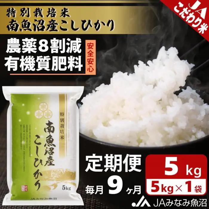 【JAみなみ魚沼定期便】特別栽培米南魚沼産こしひかり8割減（5kg×全9回）精米  ｜こしひかり
