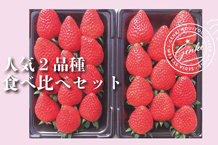 いちご 食べ比べ 560g かおり野 よつぼし 紅ほっぺ 恋みのり 食べ比べ 2種類 朝採れ 苺 いちご 産地直送  完熟 苺 いちご 7品種 苺 いちご 2種類 苺 いちご お届け 人気 苺 いちご