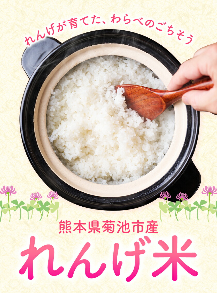 熊本県菊池市産のれんげ米 5kg 《30日以内に出荷予定(土日祝除く)》  精米方法 玄米 お米 レンゲ米 熊本県産 九州産 送料無料