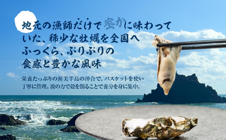 【先行予約】殻付き 生牡蠣 5kg 加熱用 軍手・牡蠣ナイフ付 牡蠣 カキ かき 生 殻付牡蠣 フライ 鍋 バーベキュー BBQ 海鮮 魚介 魚貝 貝 魚介類 新鮮 渥美半島 田原市 愛知県 国産 海