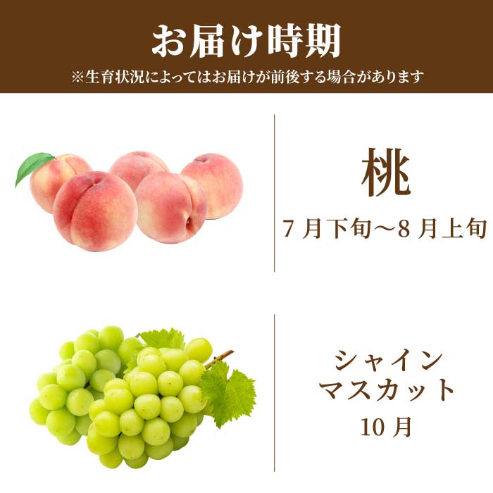 ひろしま フルーツ定期便 ～ 桃 シャインマスカット ～ 《全2回定期便》数量限定☆先行受付 フルーツ 果物 くだもの 産地直送 ぶどう ブドウ もも 三原・世羅共通返礼品 広島 T14