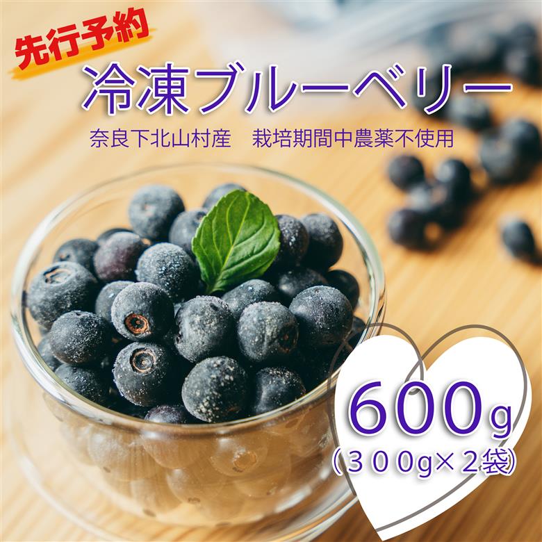 【先行受付】8月中旬～順次発送　栽培期間中 農薬不使用 としちゃんのブルーベリー 300gx2 手摘み 下北山村産 国産 ブルーベリー 無農薬