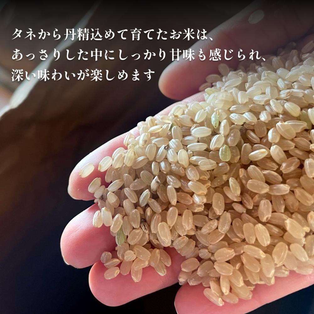 ＜玄米＞令和7年産富山県産自然栽培米コシヒカリ5kg _イメージ3