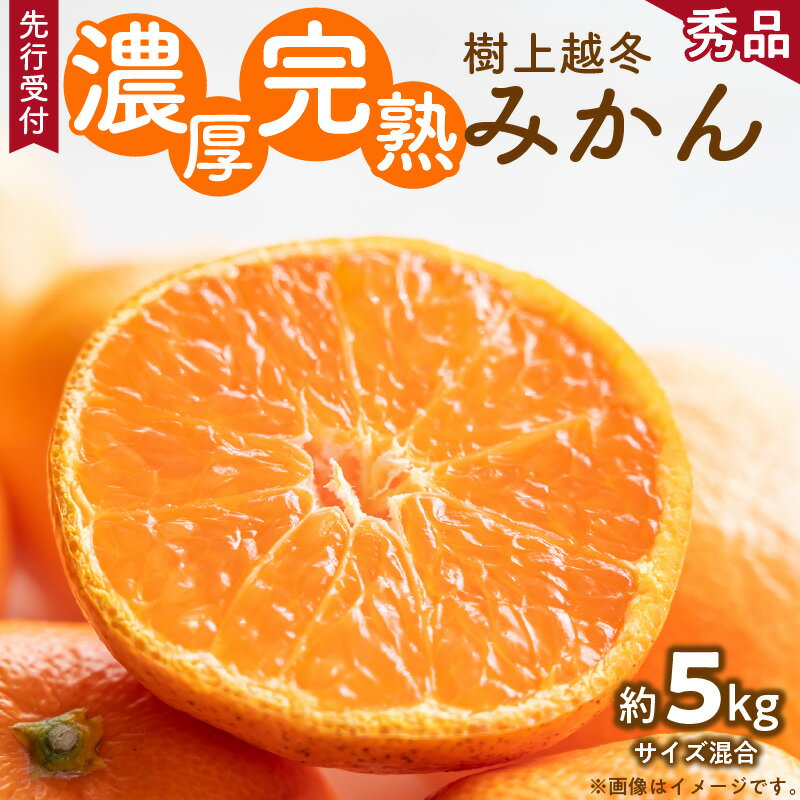 【ふるさと納税】【先行予約】【濃厚・まろやか】樹上越冬 完熟 みかん 5kg (2S～Mサイズ混合・秀品)【ミカン 蜜柑 柑橘 温州みかん 有田みかん】