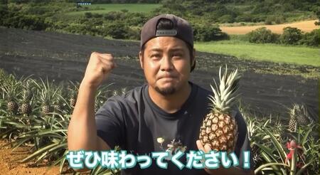 ＜先行予約＞ 農家直送！石垣島産 ポコットパイン 3個セット 約3.5kg ＜2026年3月下旬発送＞ | パイナップル パイン 沖縄県 石垣市 石垣島 南国 フルーツ 果物 季節限定 YE-002