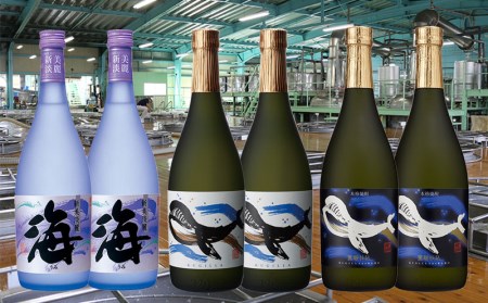 C3-25123／大海酒造 720ml 6本セット