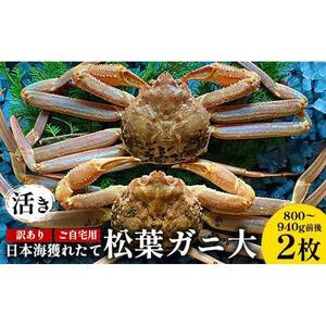 【活き】訳あり ご自宅用日本海獲れたて 松葉ガニ 大 800～940g前後 2枚  ※2026年11月上旬～2027年3月上旬頃に順次発送予定 松葉ガニ