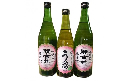 
腰古井 梅酒 500ml×1本と720ml×2本セット【1061262】
