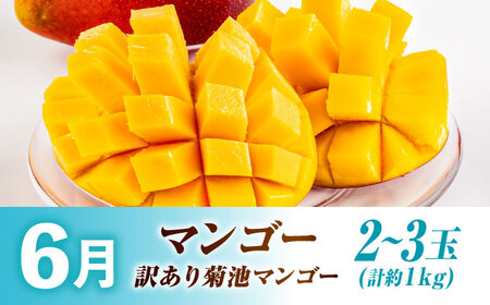 【先行予約】【全3回定期便】旬の果物ひとりじめ定期便[AYZZ006]