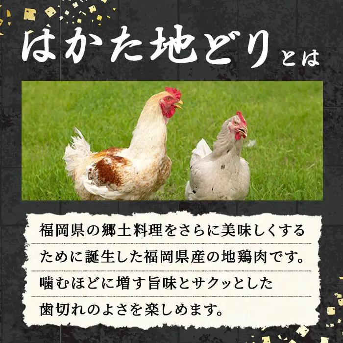 はかた地どり 手羽元カレー（レトルト・5食）温めるだけ 簡単 便利 お手軽 地鶏 地どり 鶏肉 九州 国産 手羽 手羽元 骨付き カレー レトルトカレー チキンカレー チキン お肉 肉 レトルトパウチ