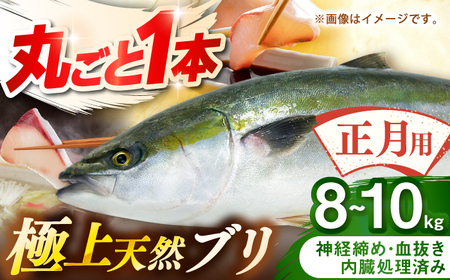 【正月用】　壱岐産　天然ブリ　丸ごと1本　8㎏～10㎏《壱岐市》 【みやげ処 縁由】[JBJ025]