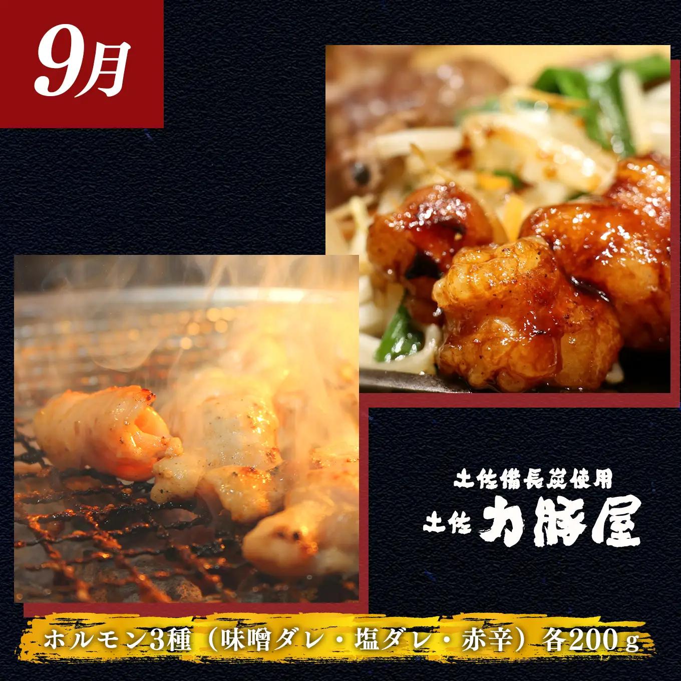 【定期便 3回】豚肉  ハラミ ホルモン キムチ 柚子胡椒 キャンプ飯 冷凍 国産 焼肉用 7～9月
