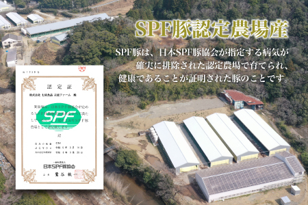 【SDGｓカメバッチ】と【本気豚焼豚３種・ロールキャベツ・ハンバーグセット】